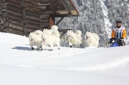 Kandersteg 2013